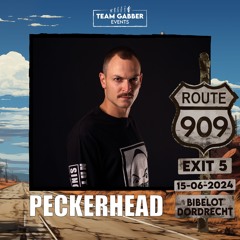 Route 909 - EXIT 5 - Peckerhead