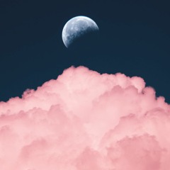 Transitions (M I X '21)