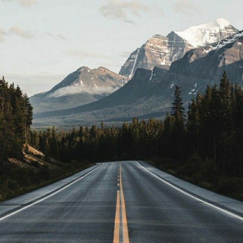 𝕊𝕪𝕞𝕓𝕠𝕝 𝕠𝕗 𝕡𝕖𝕒𝕔𝕖 𝕗𝕥 𝕄𝕒𝕣𝕔𝕦𝕤