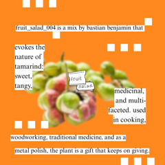 fruit_salad_004 - bastian benjamin