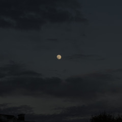 winter swag +mimofr+