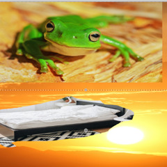 too hot to sleep i made this instead