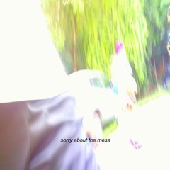 1. sorry about the mess (intro)