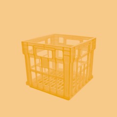 standing on a milk crate