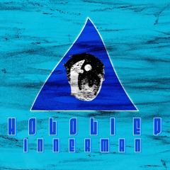 SHINKIRO (INNERMAN Groove Mix)