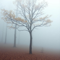 Fading Echoes (of a Summer's End)