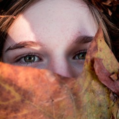 Restore Renew Refresh Golden Leaves of Autumn Attunement