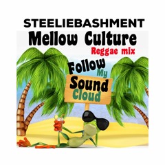 Steeliebashment Mello Culture Mix1