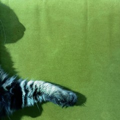 I love you. Do you want something to drink?