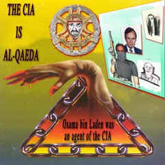 bin laden's hard drive