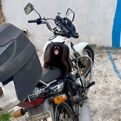 3h13✨💕tudo começa quando se pode acabar💕✨ beat. jgera.