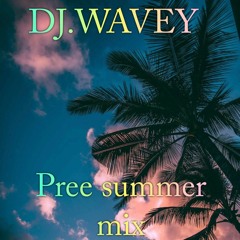 Pree Summer Mix 2021
