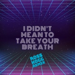 I Didn't Mean to Take Your Breath (Ross Hogg Remix)