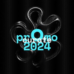 promo mix 2024 | curate