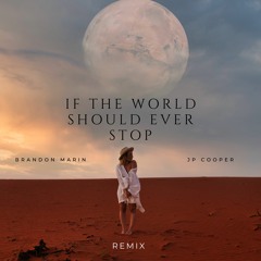 JP Cooper - If The World Should Ever Stop (Brandon Marin Remix)