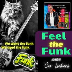 Feel the Funk