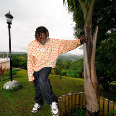 Tore Up (SLOWED) - Don Toliver x Dante Smith Guitar Remix