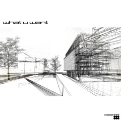 sebsteel_-_what u want