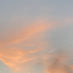 don't hit my main phone :/