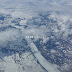 Reborning
