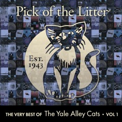 Pick of the Litter • Volume I