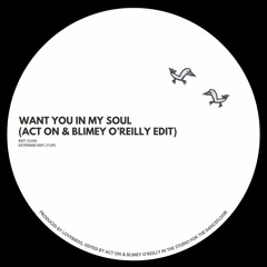 LoveBirds ft. Stee Downes - Want You In My Soul (ACT ON & Blimey O'Reilly Edit) [FREE DOWNLOAD]