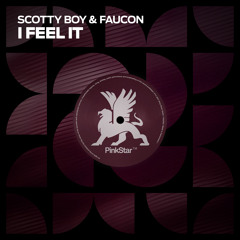 Scotty Boy & Faucon - I Feel It