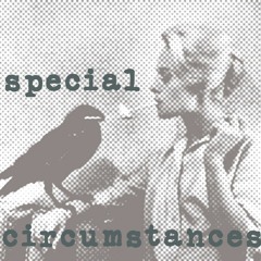 Special Circumstances - Episode 61 - Grey Area