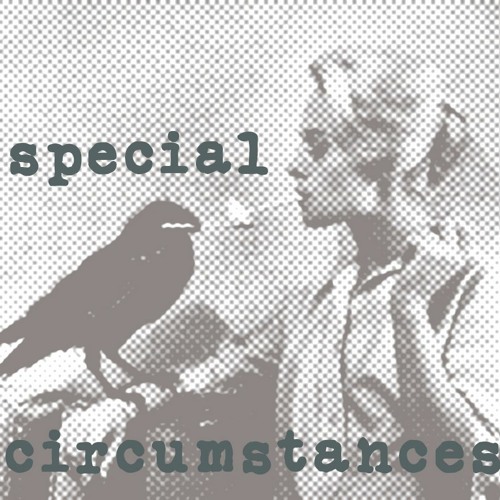 Special Circumstances - Episode 61 - Grey Area