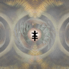 chimaera w/ o.utlier (20/02/25)