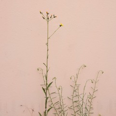 Crazy! Ft. Cobiepool (Prod. Bapop & Ebon)