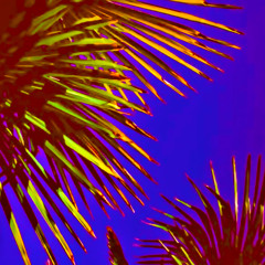 Katy Perry - Harleys in Hawaii (JackSnydes Remix)