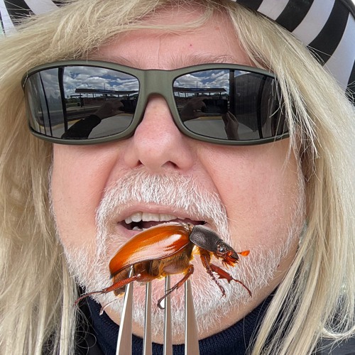 Eat the Beetles