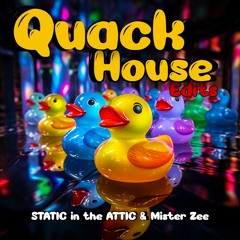 STATIC & Mister Zee - Quack House Edits