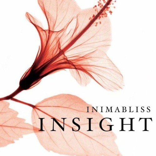 Insight Podcast Series 1