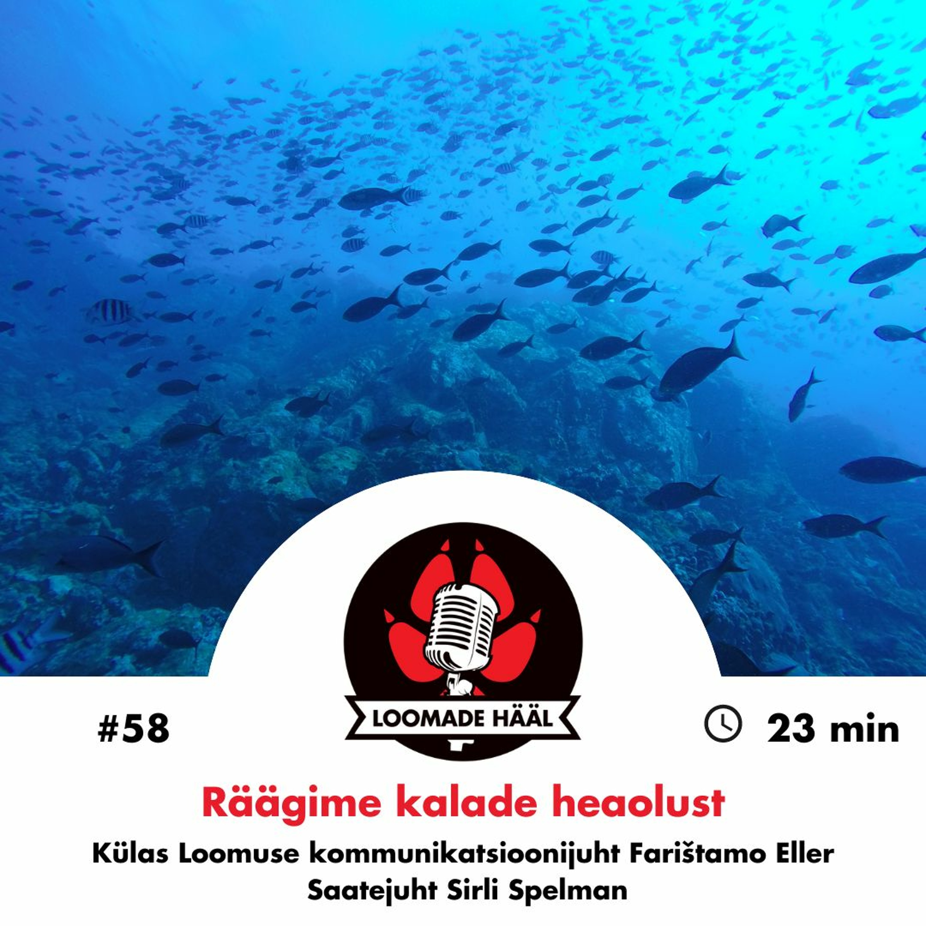 Loomade Hääl #58: Räägime kalade heaolust