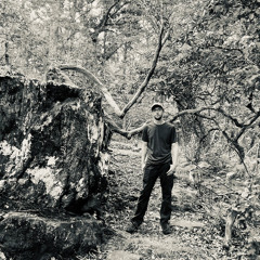 Soldier’s Homecoming