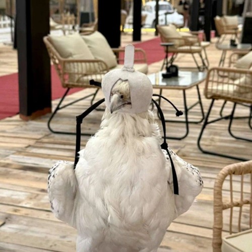 مدمن بحبك خفوقي _ عيضه المنهالي-بطئ