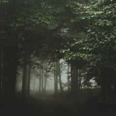 Sagis - Nature