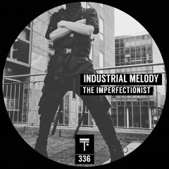 Industrial Melody - The Imperfectionist (Original Mix)
