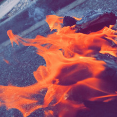 Blueblicky- Blicka Bars