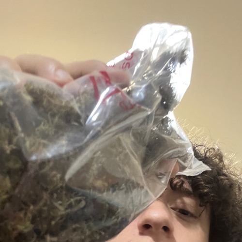 hasta que vio la ziploc