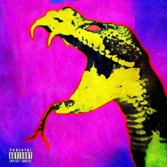 V-styles-Viper