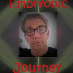 Embryonic Journey