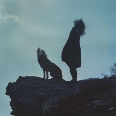 King of the North