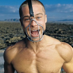 lights, camera, action