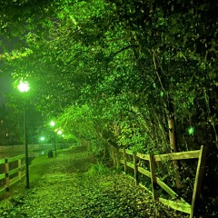 better off alone w/ notahero (under the maple tree)