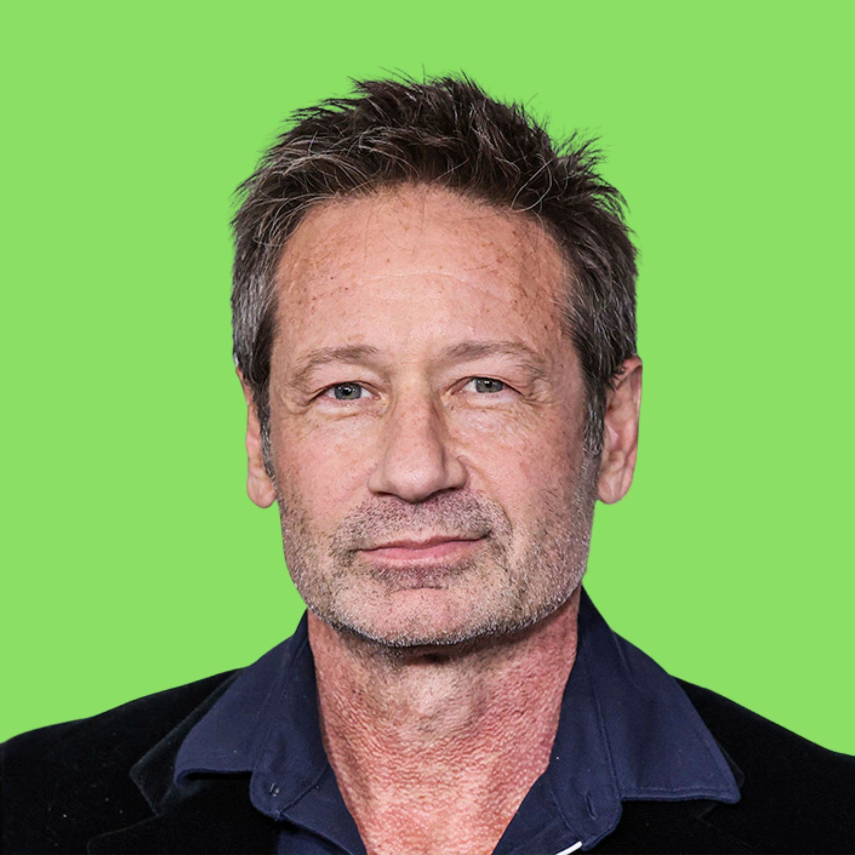 The Frank MacKay Show - David Duchovny