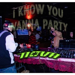 I Know You Wanna Party