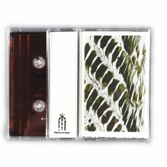 [PA2] Occidental - Ampullae of Lorenzini